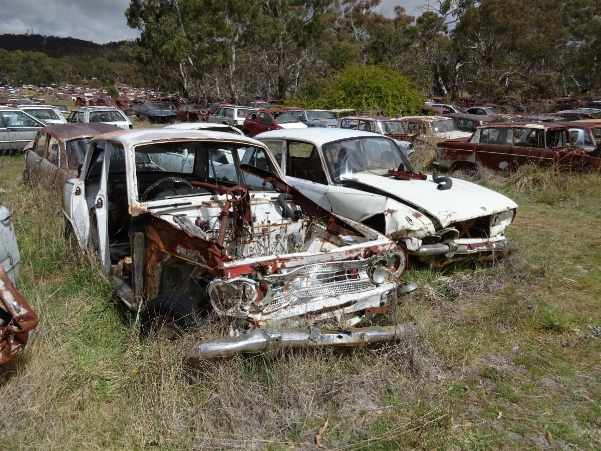 2017 Mudgee Nationals     (243).jpg