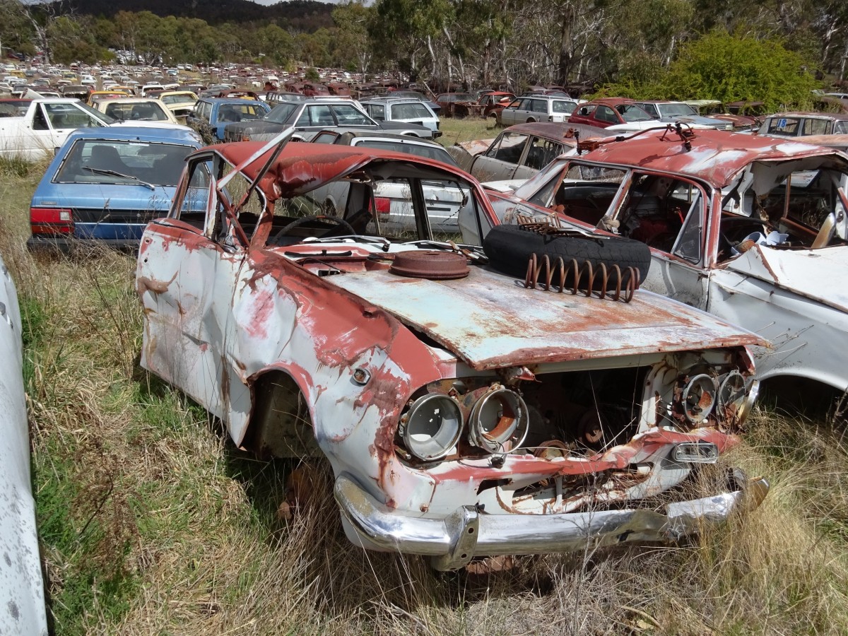 2017 Mudgee Nationals     (244).jpg