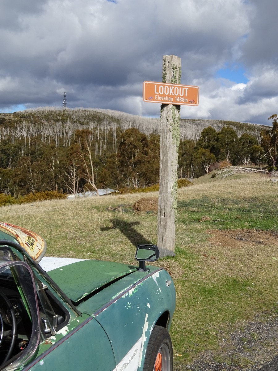 2017 Mudgee Nationals     (360).jpg