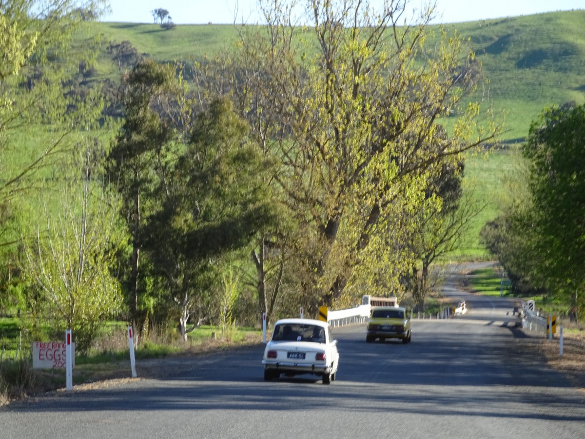 2017 Mudgee Nationals     (382).jpg