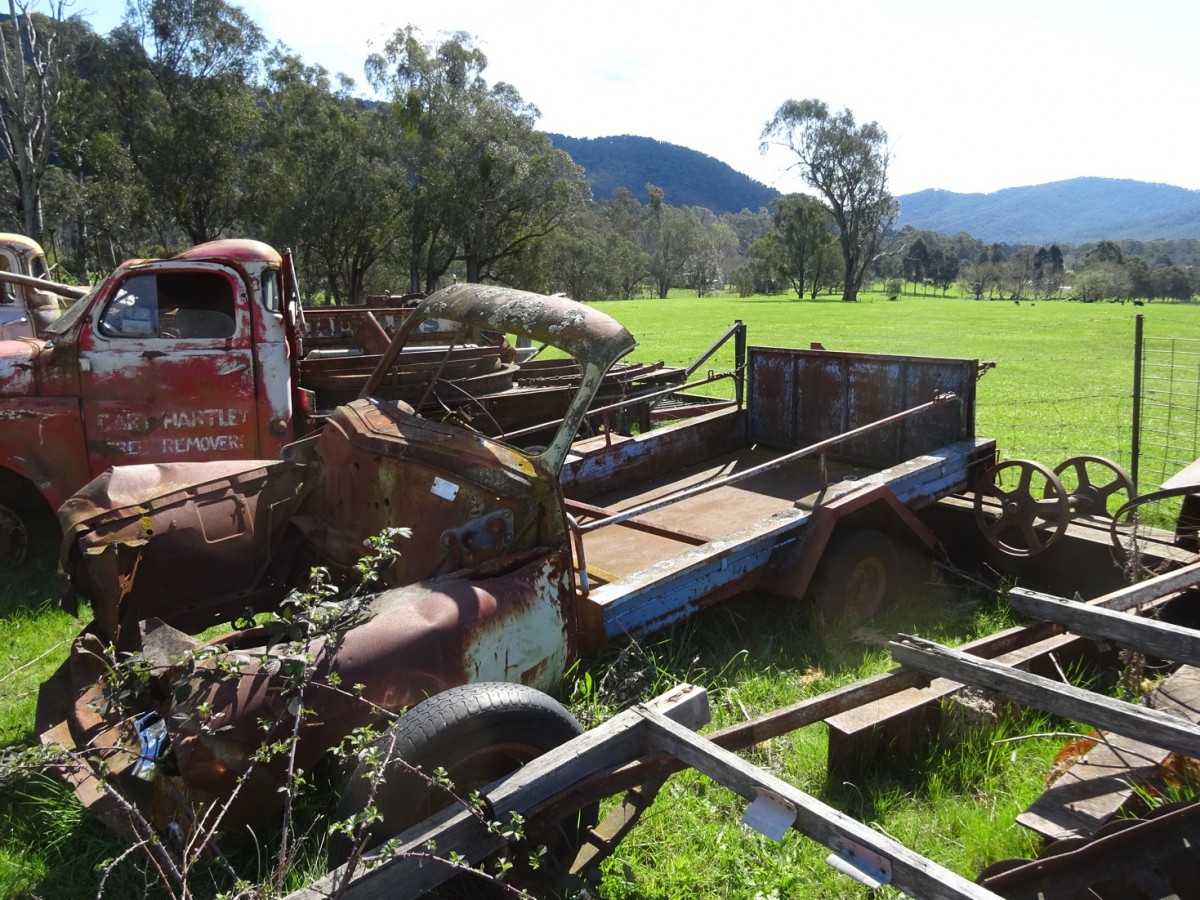 2017 Mudgee Nationals     (863).jpg