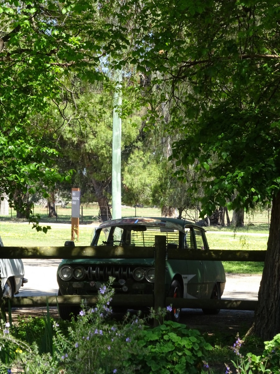 2017 Mudgee Nationals  (528).jpg