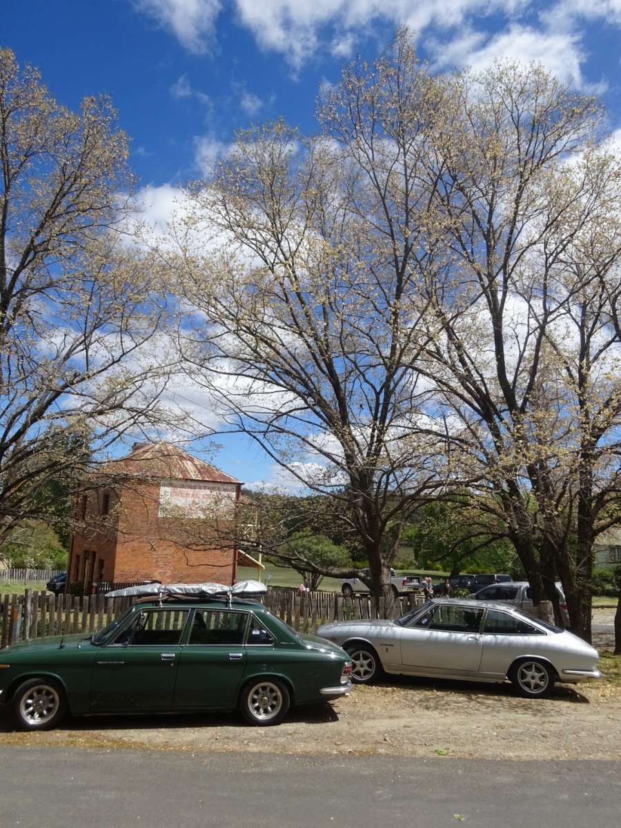 2017 Mudgee Nationals  (929).jpg