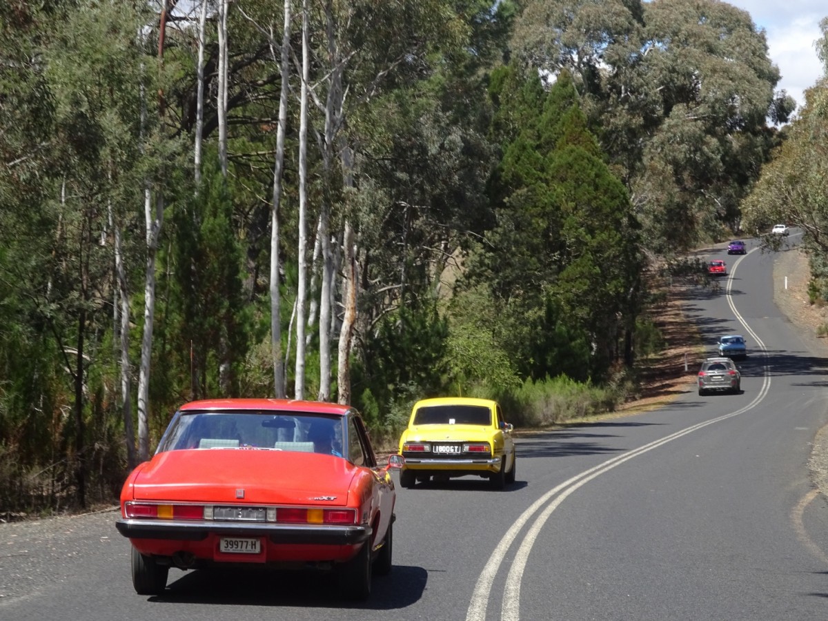 2017 Mudgee Nationals  (974).jpg