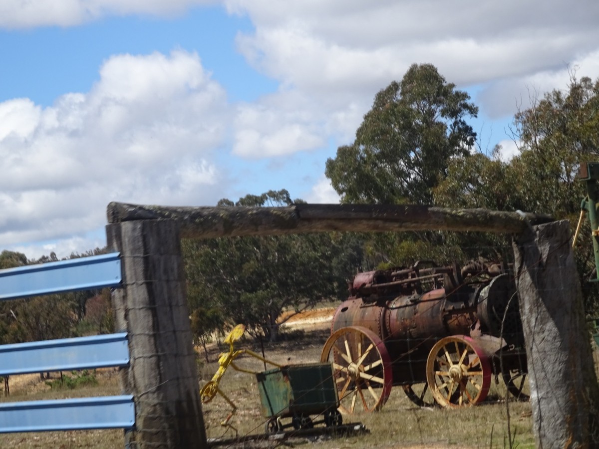 2017 Mudgee Nationals  (977).jpg