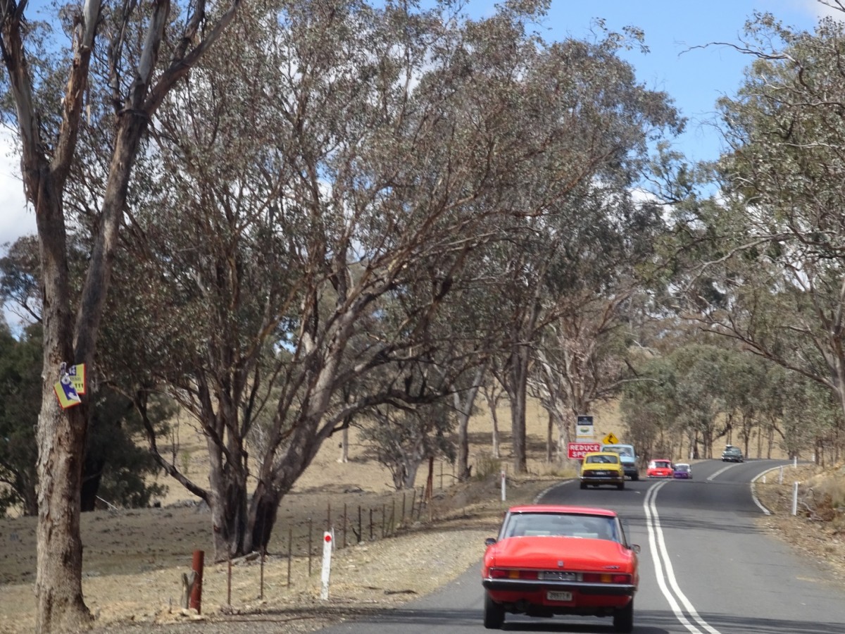 2017 Mudgee Nationals  (997).jpg