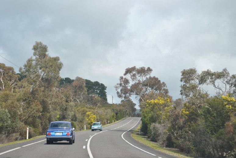 30 - road to Goolwa - Bruno's Bellett GT and Chris's Bellett Deluxe.JPG