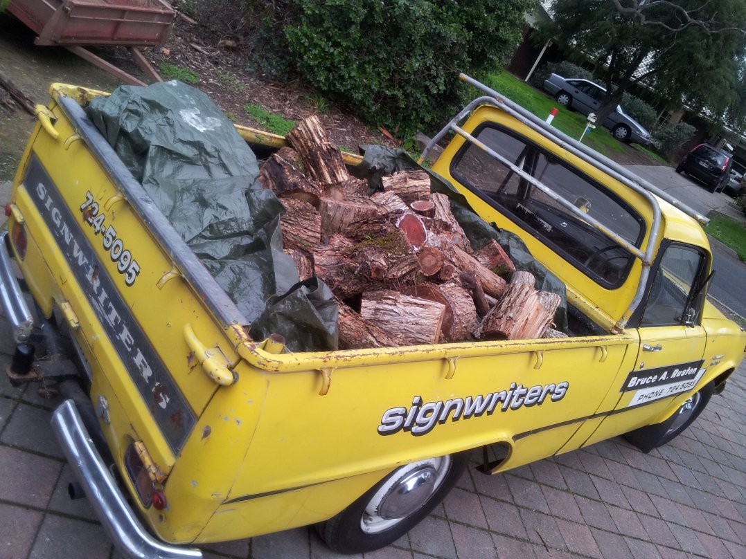 front yard - 04 August - Isuzu Wasp with load of fire wood - 02.jpg