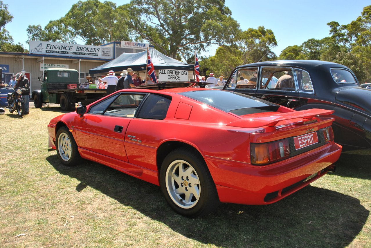 Lotus Esprit Turbo - 04.JPG